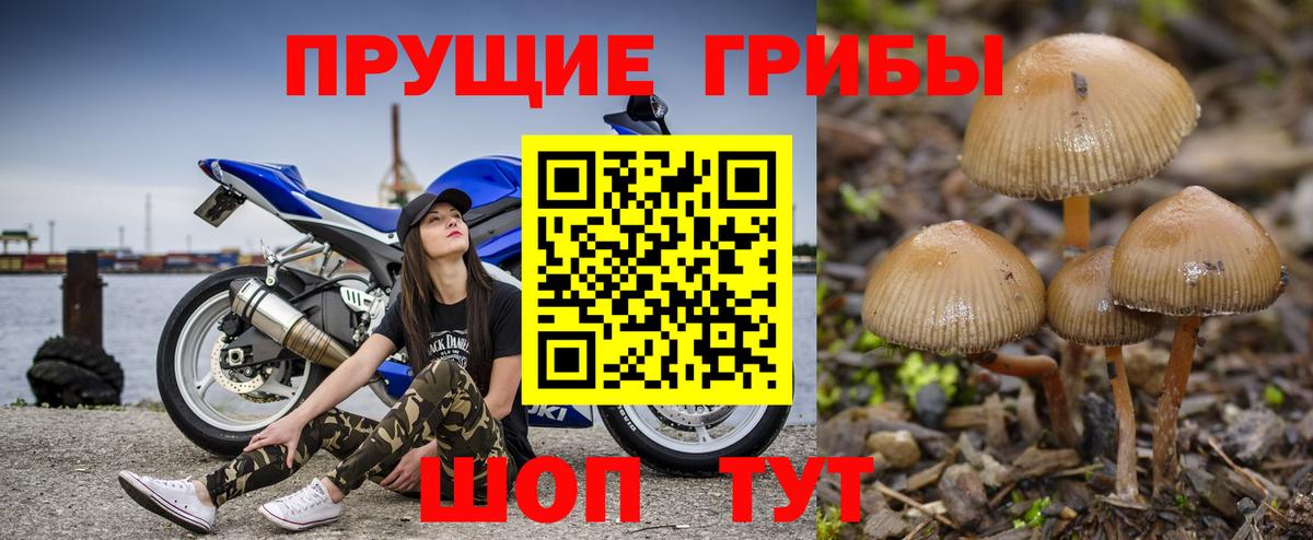 Моздок  Галлюциногенные грибы Psilocybine cubensis  цены наркотик  Галлюциногенные грибы Cubensis  Вход с VPN 