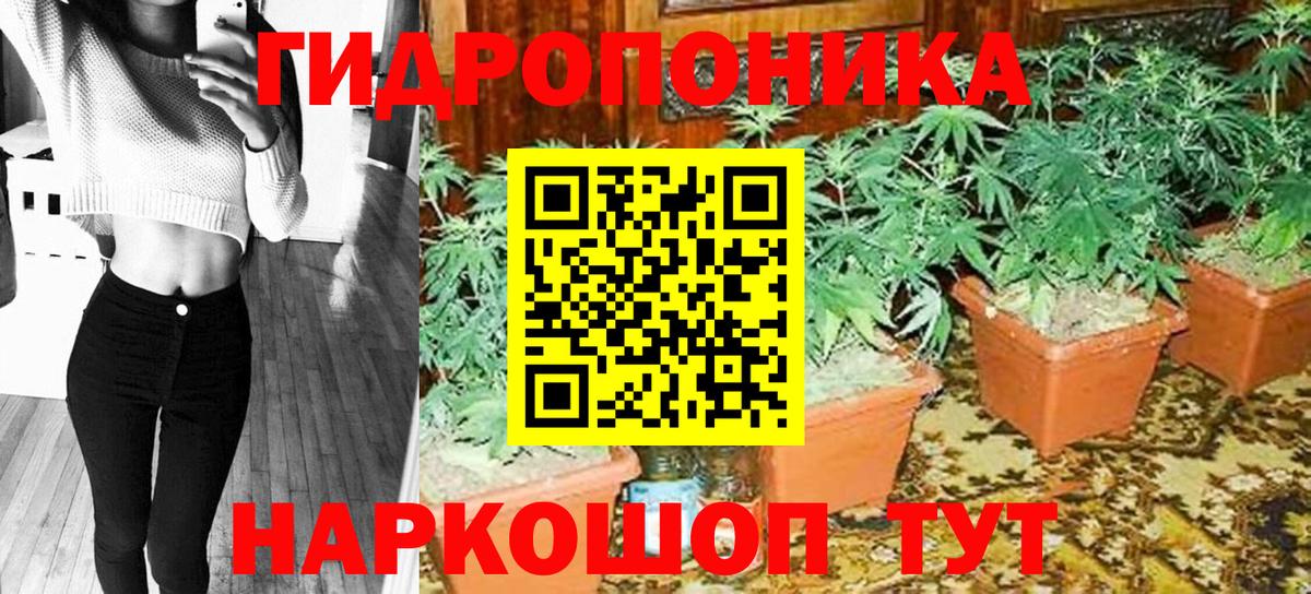 Конопля марихуана Моздок